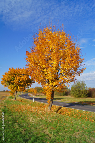 Photo: Landstraße im Herbst Landstraße im Herbst