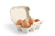 Six eggs in a box