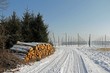 Hopfenfeld und Holzstapel