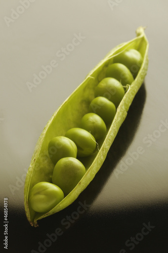 Photo: Pisum sativum Pisum sativum