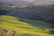 paesaggio toscano