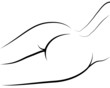 Female buttocks vector outline on white background