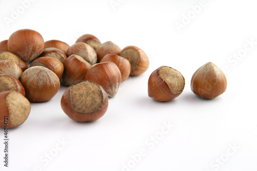 Photo: Hazelnuts Hazelnuts