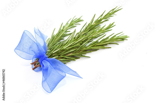 Photo: Fresh rosemary isolated on white background Fresh rosemary isolated on white background
