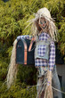 Joyful scarecrow.