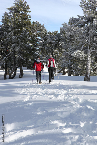Photo: Couple cross-country skiing through woods Couple cross-country skiing through woods