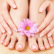 care for beautiful woman legs