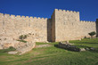 The wall of Jerusalem, lit by the bright sun
