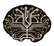 human brain as a central processing unit