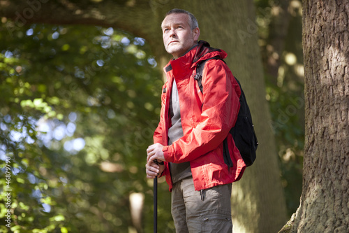 Photo: A mature man standing in woodland A mature man standing in woodland