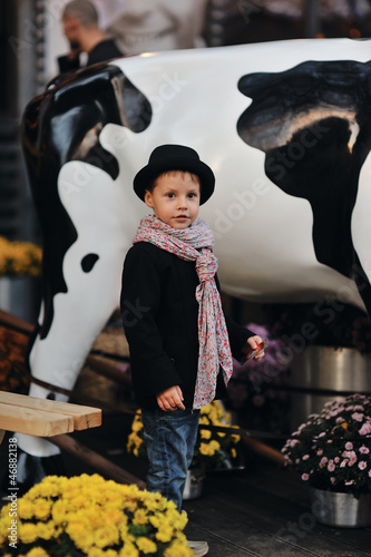 Photo: child in a black coat and hat near the cows child in a black coat and hat near the cows