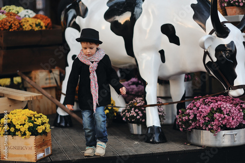 Photo: child in a black coat and hat near the cows child in a black coat and hat near the cows