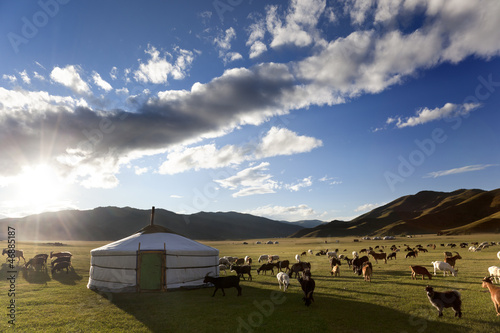 Photo: The sun rises in the Orkhon Valley while lambs graze freely The sun rises in the Orkhon Valley while lambs graze freely