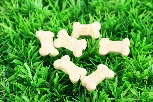 Photo: Dry bone-shaped food for dogs on green grass Dry bone-shaped food for dogs on green grass