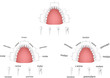 apparato dentale -dental apparatus