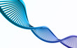dna