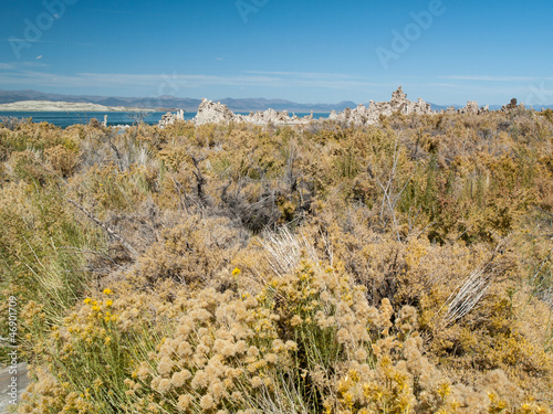 Photo: Paysage du lac Mono Lake Paysage du lac Mono Lake