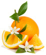 Orange and flower