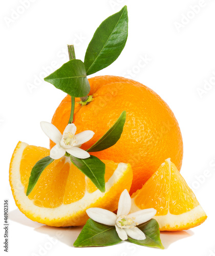Photo: Orange and flower Orange and flower
