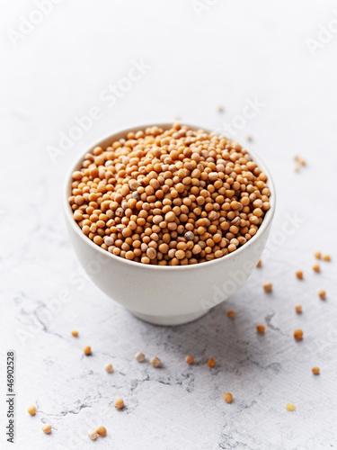 Photo: Mustard Seeds Mustard Seeds