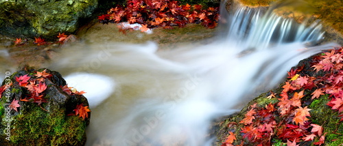 Photo: Wildbach Wildbach