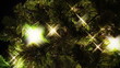 Christmas Tree Lights