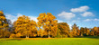 Panorama. Beautiful autumn trees.