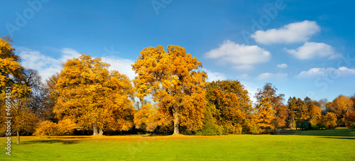 Photo: Panorama. Beautiful autumn trees. Panorama. Beautiful autumn trees.