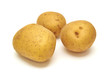 Potatos on withe background