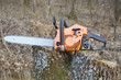 Chain Saw