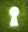 Garden keyhole