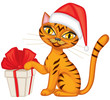 Tabby red cat gives a gift