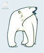Isolated polar bear