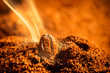 Photo: Grain roasted coffee aroma emitting Grain roasted coffee aroma emitting