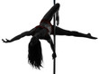 Woman Pole Dancer Silhouette Woman Pole Dancer Silhouette