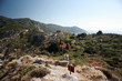 Ruins of Kastro, Skiathos Ruins of Kastro, Skiathos