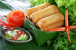 Crispy Chinese Traditional Spring rolls food