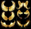 golden wings of angels.