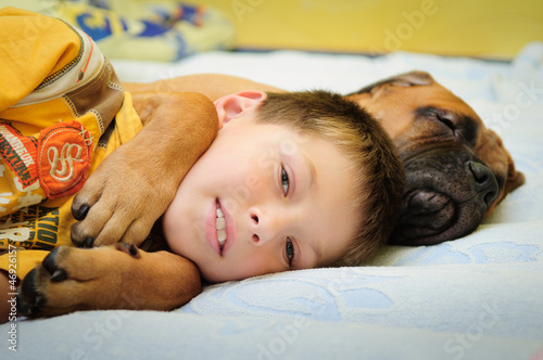 Photo: puppy bullmastiff with boy puppy bullmastiff with boy