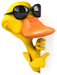 Fun duck