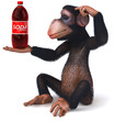 Monkey and soda