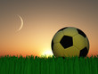 Illustration: Soccer Soccer