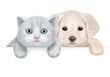 Vector: Vector of cute puppy and kitten hiding by blank. Vector of cute puppy and kitten hiding by blank.