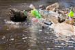 garbage in water