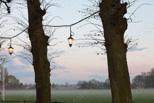 Photo: Trees with lanterns at sunset with cloudy sky. Meadow with mist. Trees with lanterns at sunset with cloudy sky. Meadow with mist.