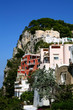 capri