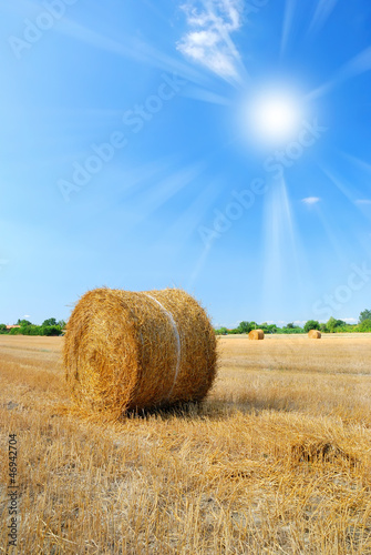 Photo: sun in the sky over the countryside in august sun in the sky over the countryside in august