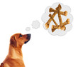 rhodesian ridgeback dreams of dog bones