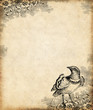 Oiseau de paradis