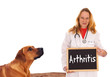 Tierärztin mit Hund und Schild - Arthritis
